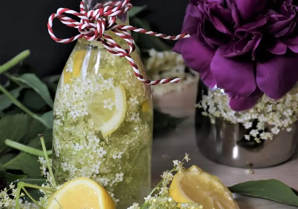 Flädersaft